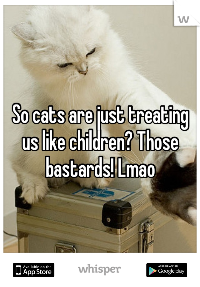 So cats are just treating us like children? Those bastards! Lmao