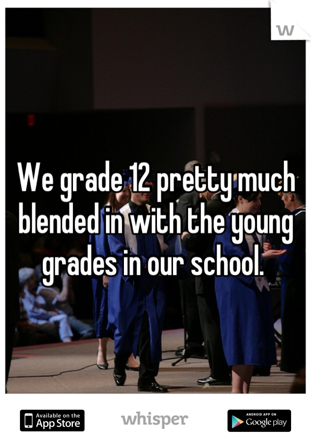We grade 12 pretty much blended in with the young grades in our school. 