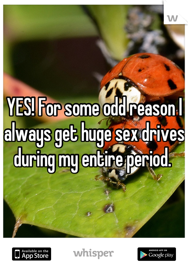 YES! For some odd reason I always get huge sex drives during my entire period. 
