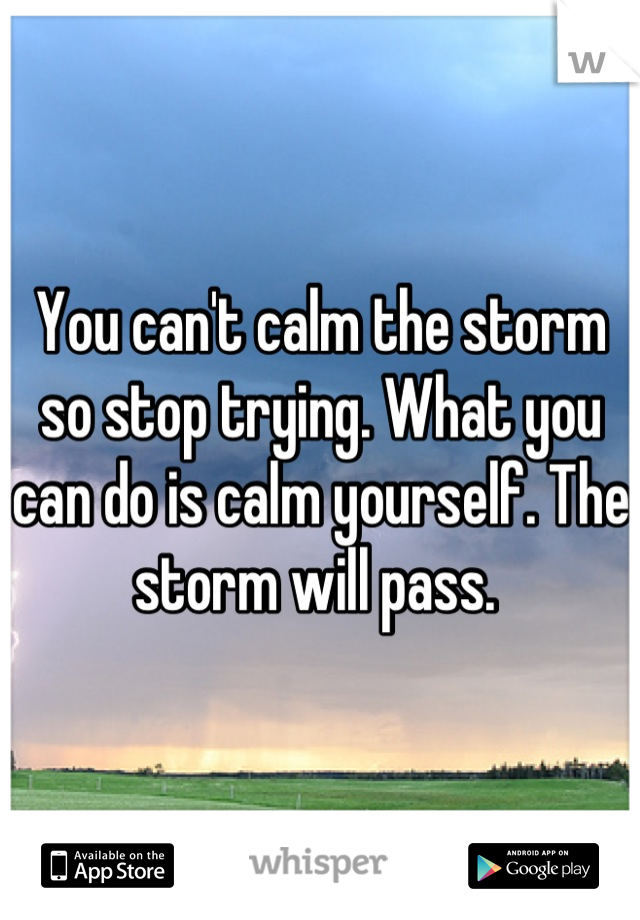 You can't calm the storm so stop trying. What you can do is calm yourself. The storm will pass. 