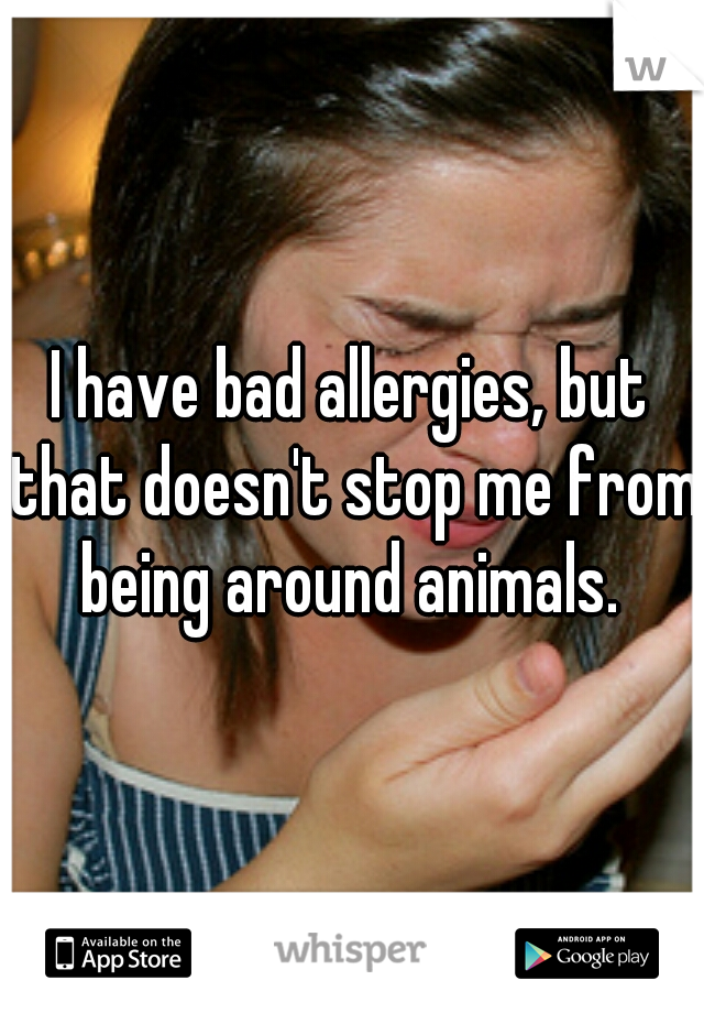 I have bad allergies, but that doesn't stop me from being around animals. 