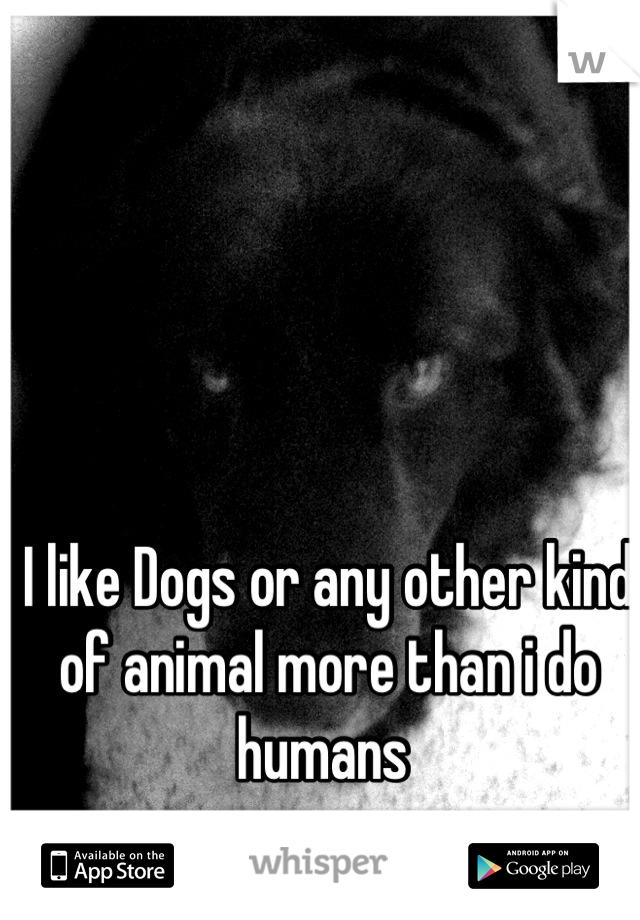 I like Dogs or any other kind of animal more than i do humans 