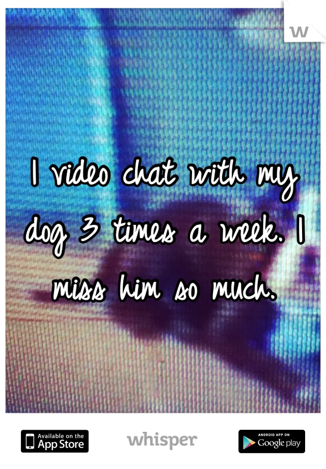 I video chat with my dog 3 times a week. I miss him so much.