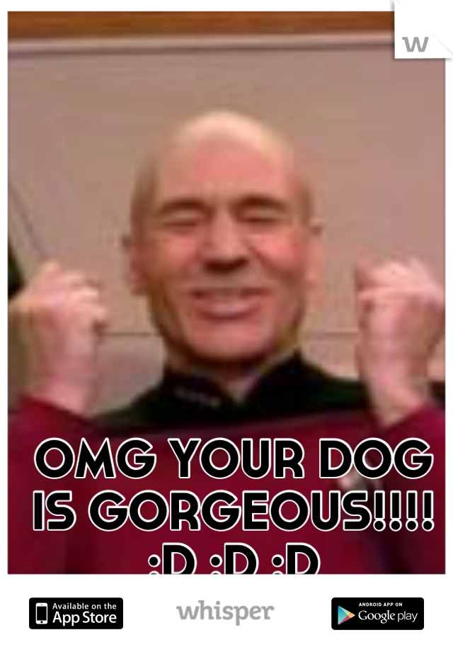 OMG YOUR DOG IS GORGEOUS!!!! :D :D :D