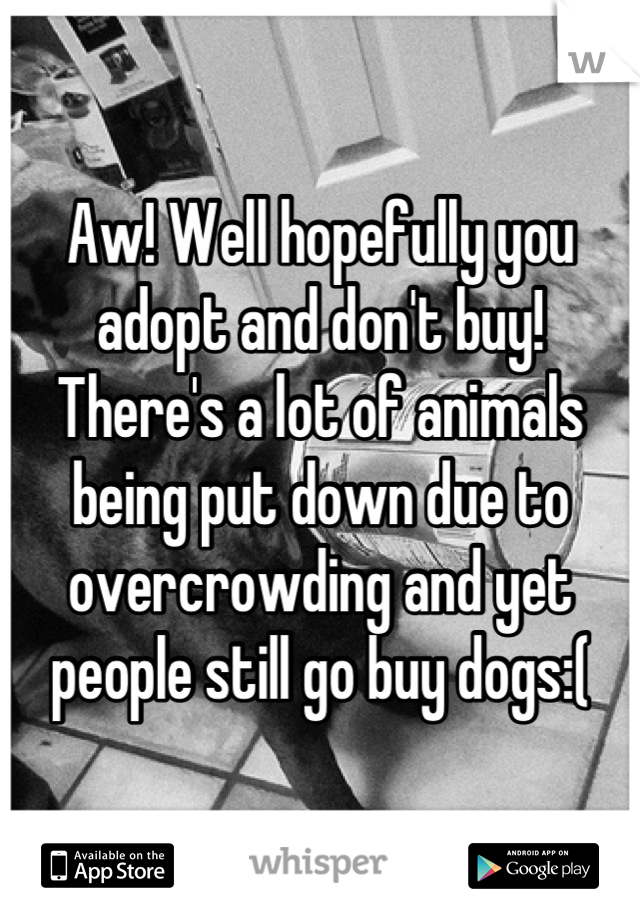 Aw! Well hopefully you adopt and don't buy! There's a lot of animals being put down due to overcrowding and yet people still go buy dogs:(