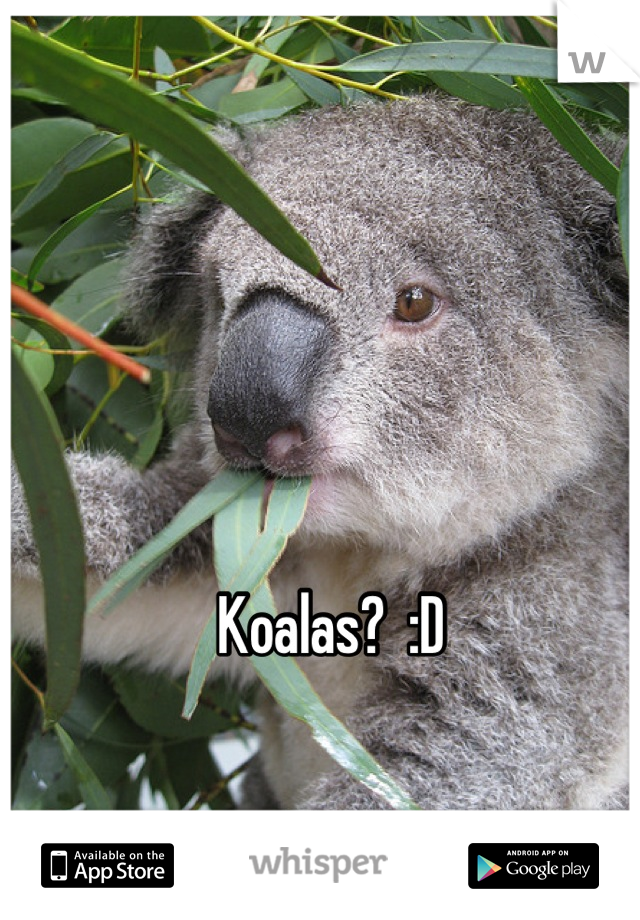 Koalas?  :D