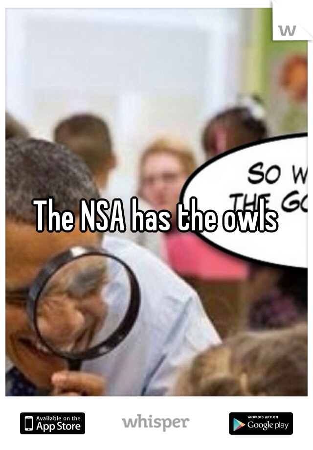 The NSA has the owls