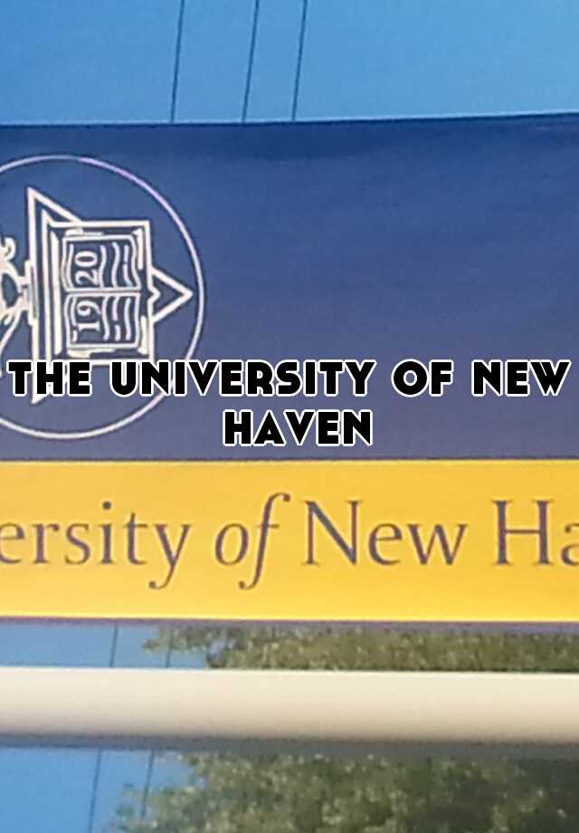 the university of new haven