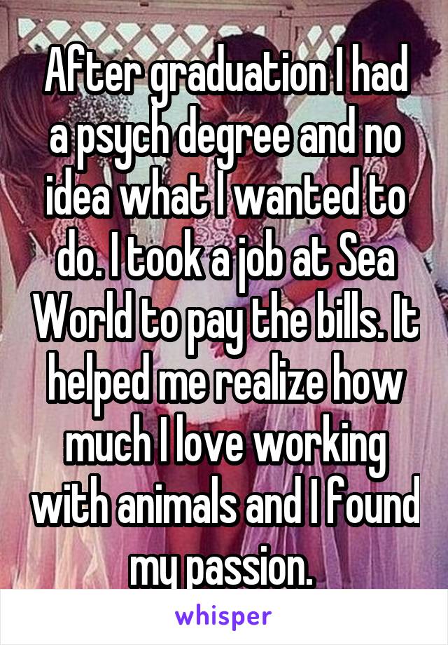 After graduation I had a psych degree and no idea what I wanted to do. I took a job at Sea World to pay the bills. It helped me realize how much I love working with animals and I found my passion. 