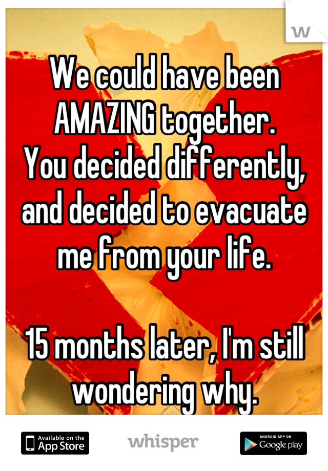 We could have been AMAZING together.
You decided differently, and decided to evacuate me from your life. 

15 months later, I'm still wondering why.