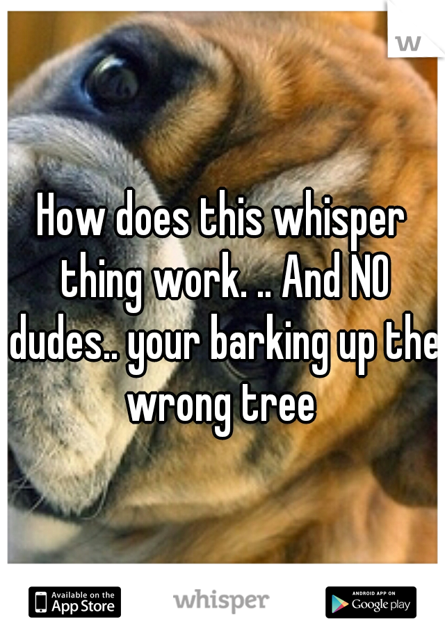 How does this whisper thing work. .. And NO dudes.. your barking up the wrong tree 