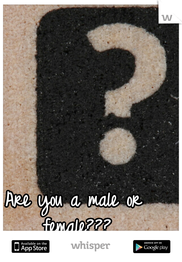 Are you a male or female???