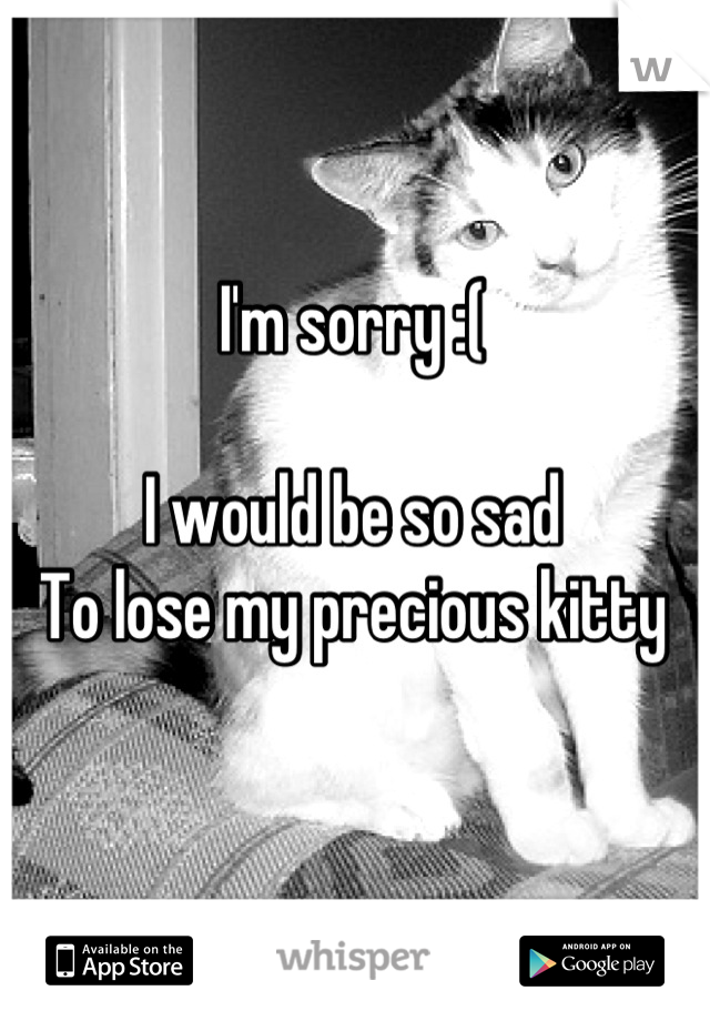 I'm sorry :(

I would be so sad 
To lose my precious kitty