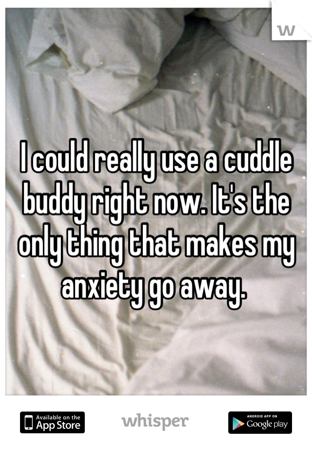 I could really use a cuddle buddy right now. It's the only thing that makes my anxiety go away. 