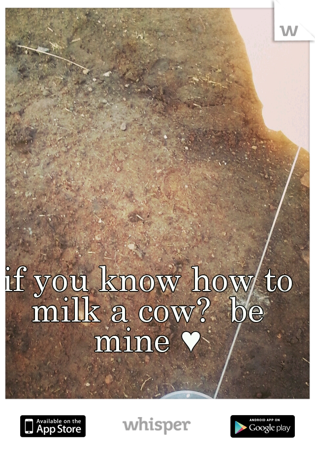  if you know how to milk a cow?  be mine ♥