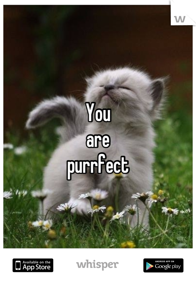 You
are
purrfect