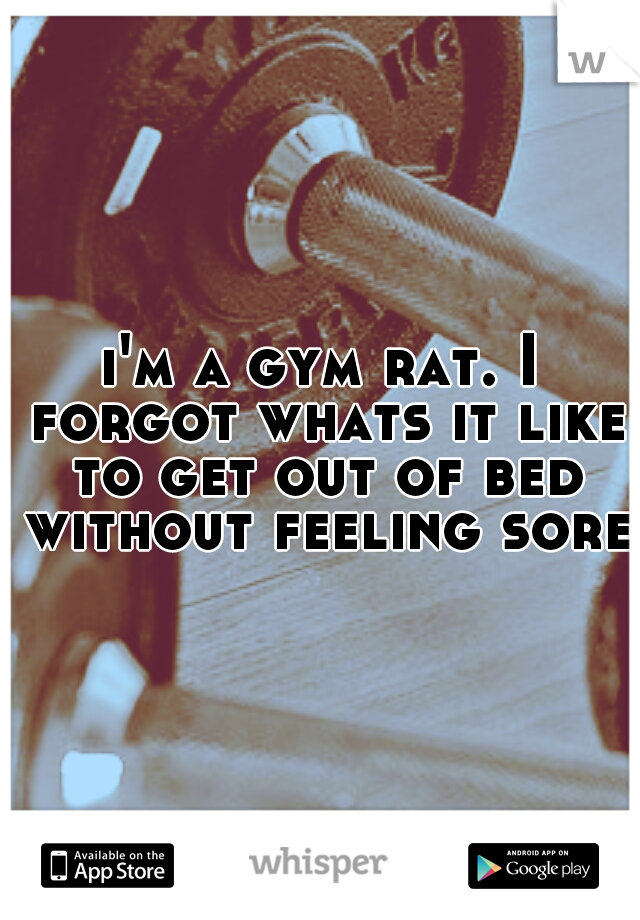 i'm a gym rat. I forgot whats it like to get out of bed without feeling sore.