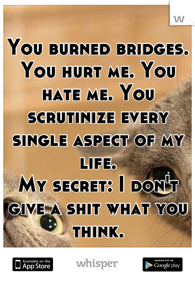 You burned bridges. You hurt me. You hate me. You scrutinize every single aspect of my life.
My secret: I don't give a shit what you think.