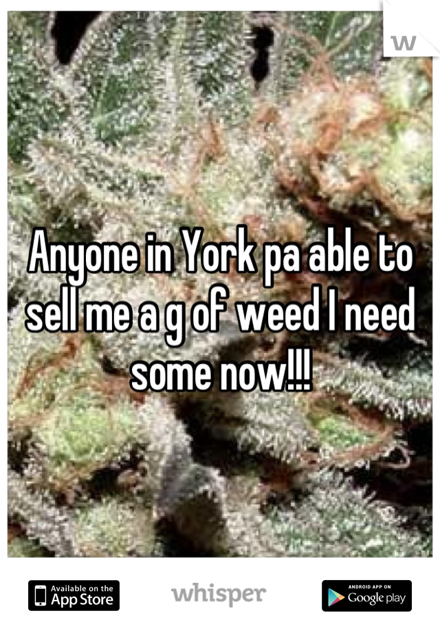 Anyone in York pa able to sell me a g of weed I need some now!!!