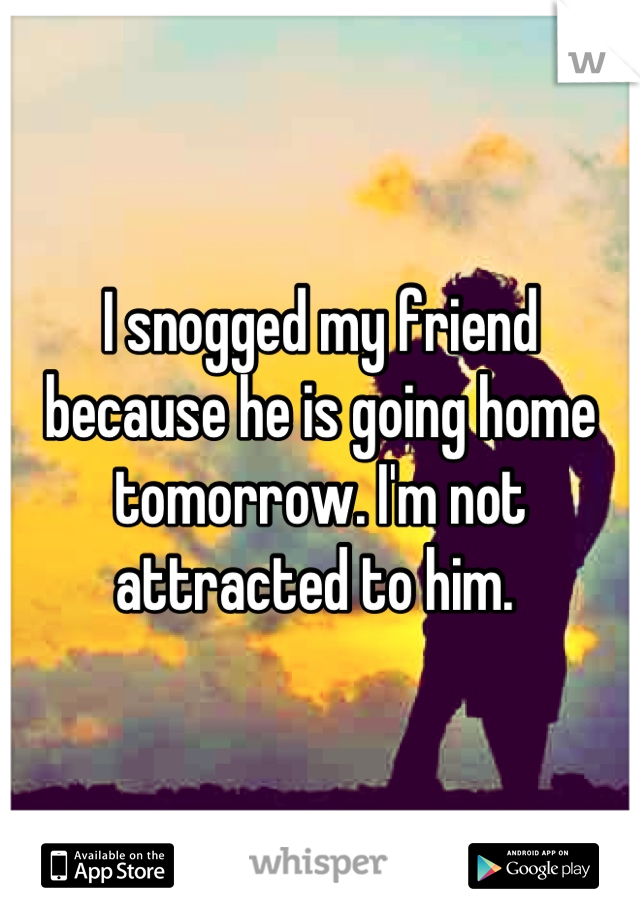 I snogged my friend because he is going home tomorrow. I'm not attracted to him. 
