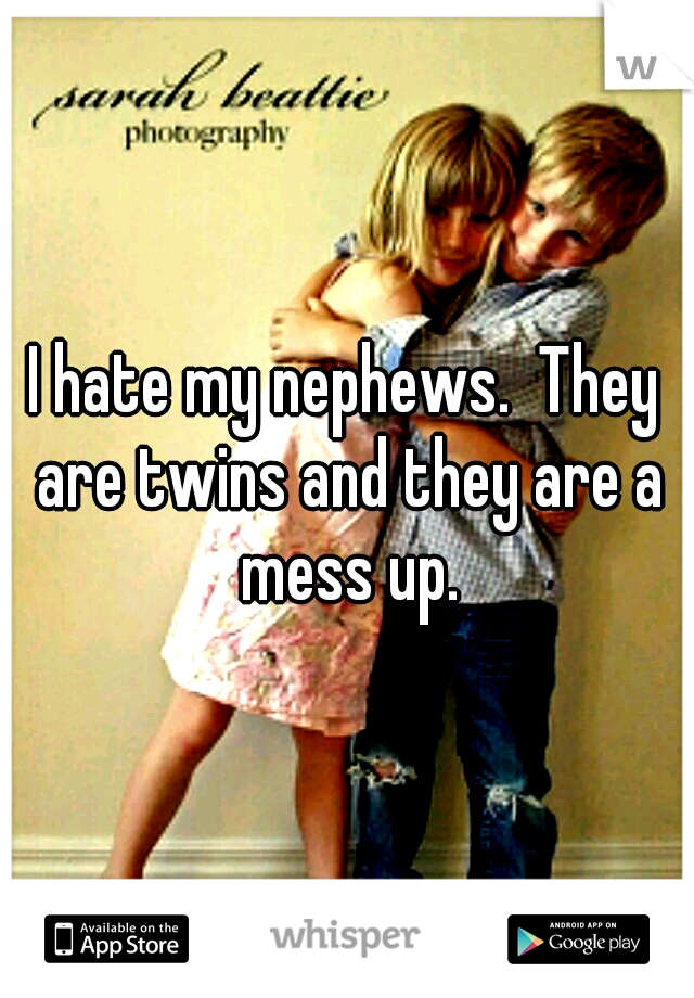 I hate my nephews.  They are twins and they are a mess up.