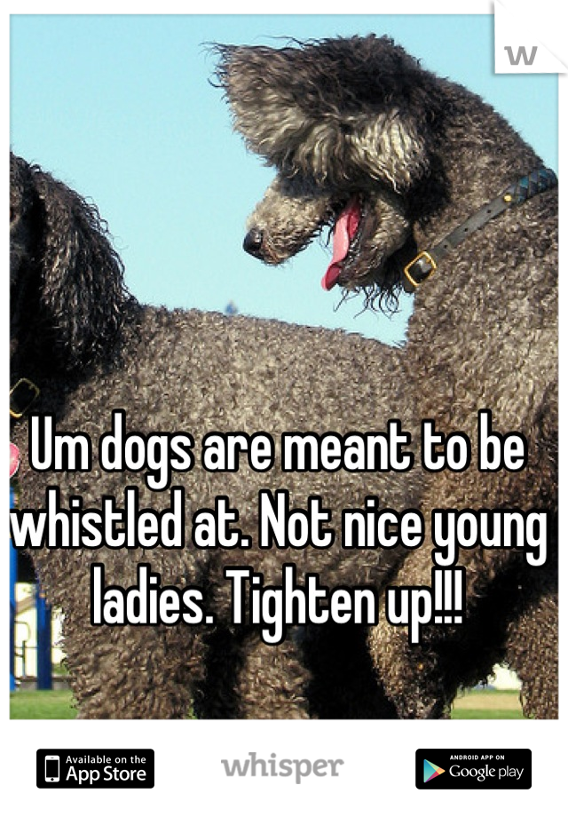 Um dogs are meant to be whistled at. Not nice young ladies. Tighten up!!!