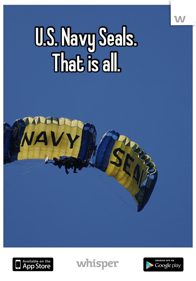 U.S. Navy Seals. 
That is all.