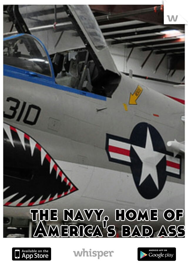 the navy. home of America's bad ass airplanes! 