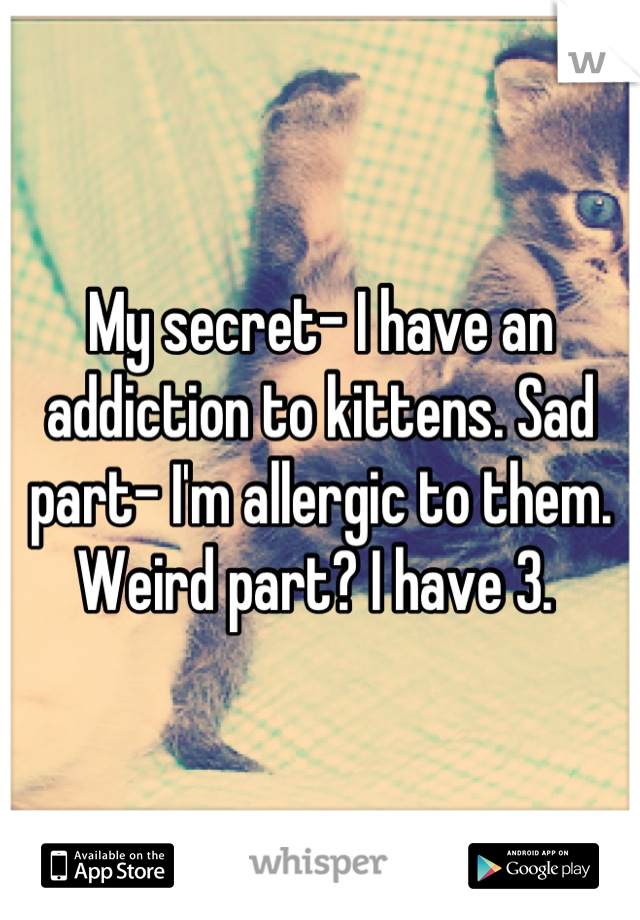 My secret- I have an addiction to kittens. Sad part- I'm allergic to them. Weird part? I have 3. 