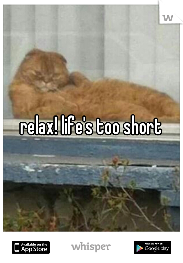 relax! life's too short