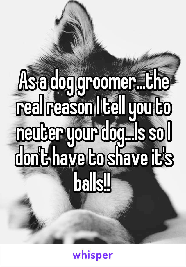 As a dog groomer...the real reason I tell you to neuter your dog...Is so I don't have to shave it's balls!! 
