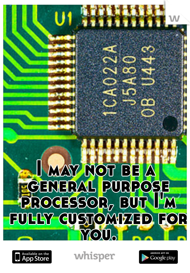 I may not be a general purpose processor, but I'm fully customized for you.