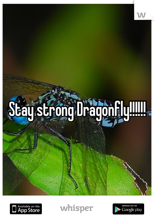 Stay strong Dragonfly!!!!!!