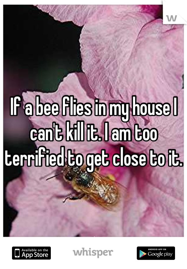If a bee flies in my house I can't kill it. I am too terrified to get close to it.
