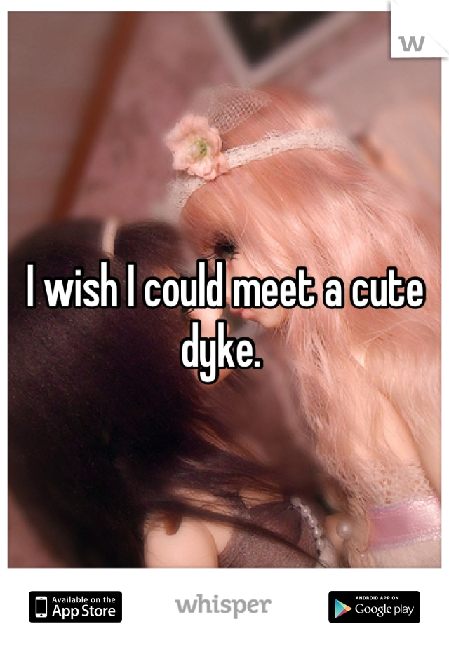 I wish I could meet a cute dyke. 