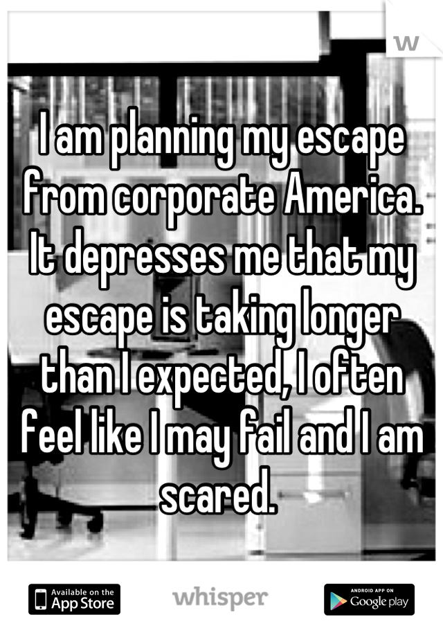 I am planning my escape from corporate America.  It depresses me that my escape is taking longer than I expected, I often feel like I may fail and I am scared. 