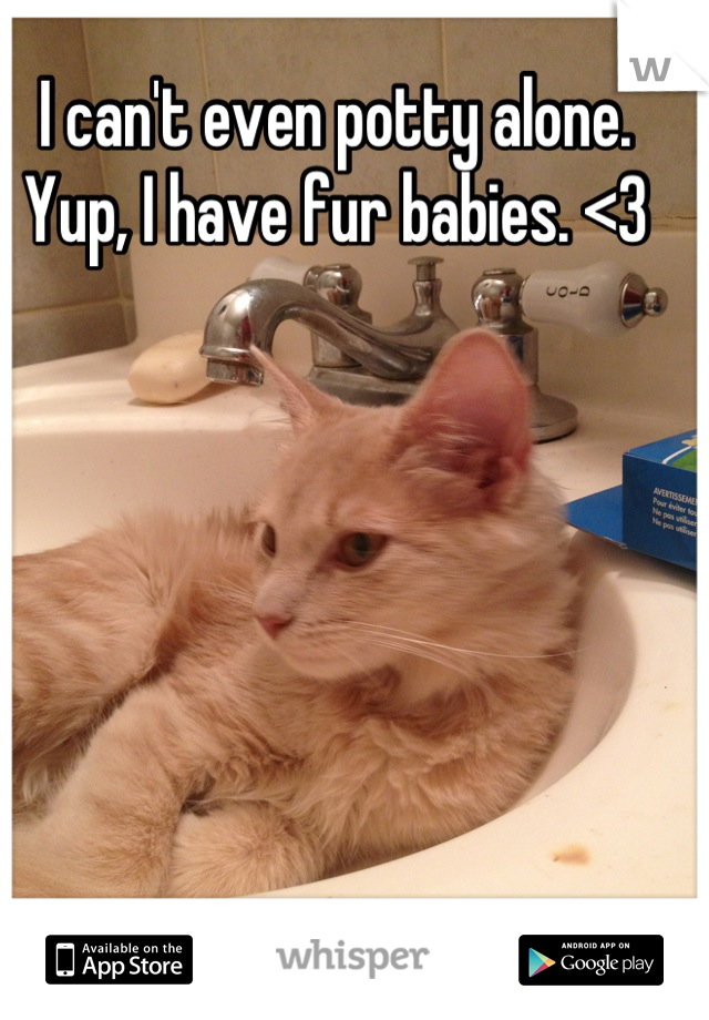 I can't even potty alone. Yup, I have fur babies. <3