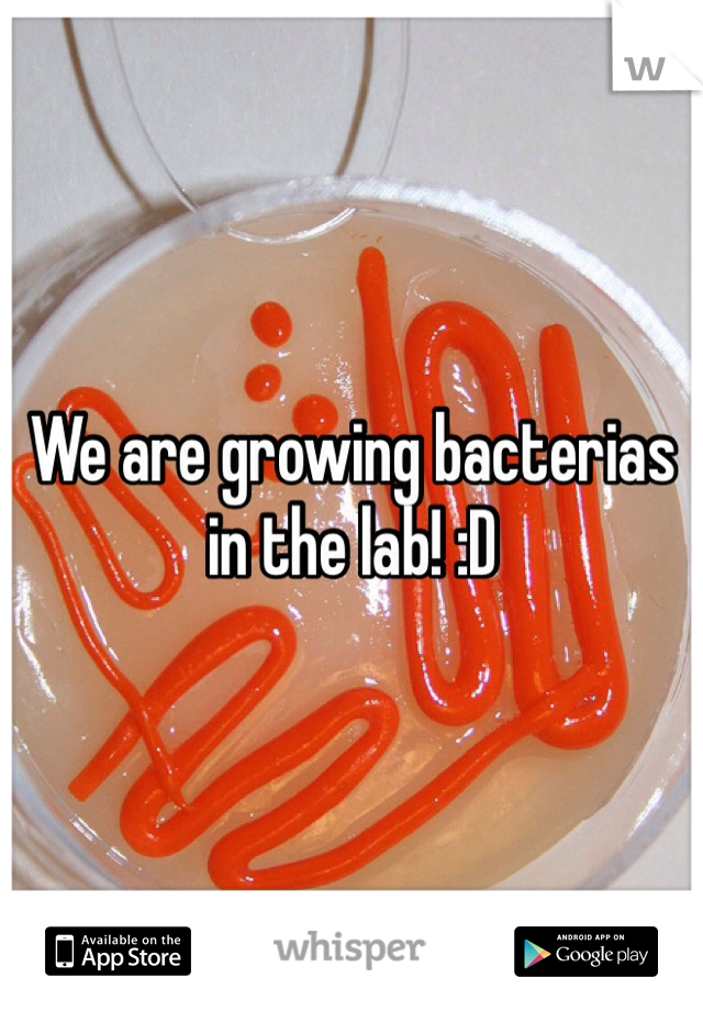 We are growing bacterias in the lab! :D 