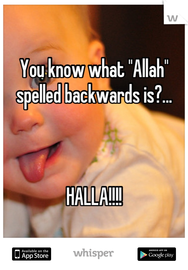 You know what "Allah" spelled backwards is?...



HALLA!!!!
