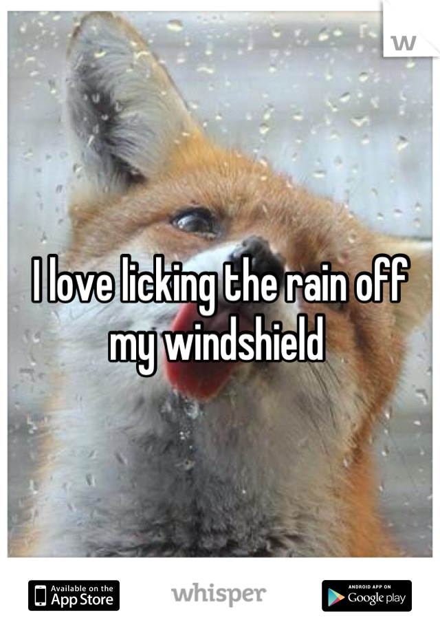 I love licking the rain off my windshield 