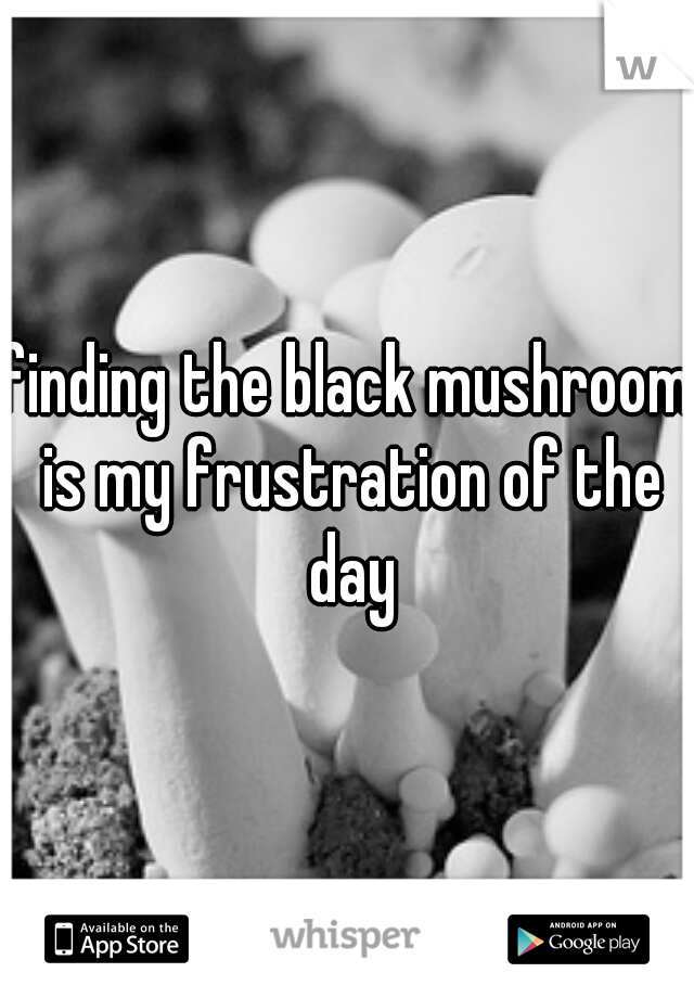 finding the black mushroom is my frustration of the day