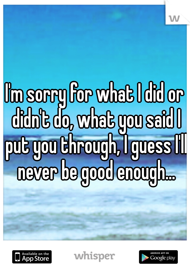 I'm sorry for what I did or didn't do, what you said I put you through, I guess I'll never be good enough...