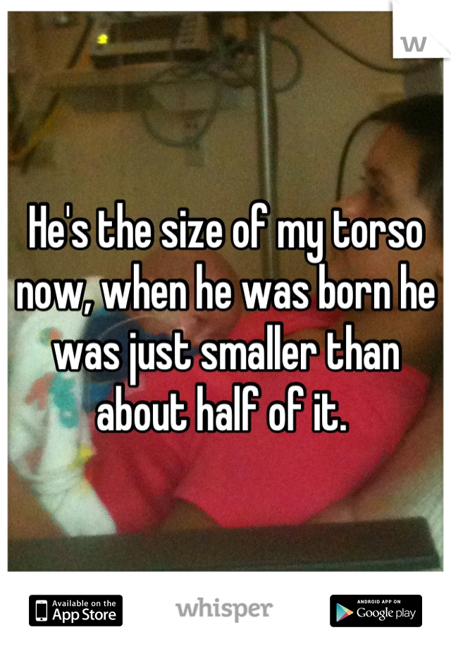 He's the size of my torso now, when he was born he was just smaller than about half of it. 