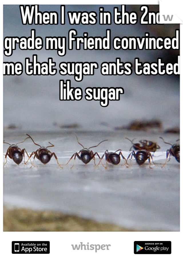 When I was in the 2nd grade my friend convinced me that sugar ants tasted like sugar





I ate one.