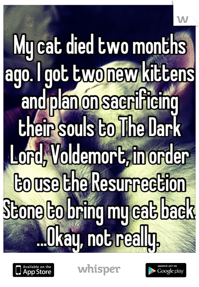 My cat died two months ago. I got two new kittens and plan on sacrificing their souls to The Dark Lord, Voldemort, in order to use the Resurrection Stone to bring my cat back.
...Okay, not really. 
