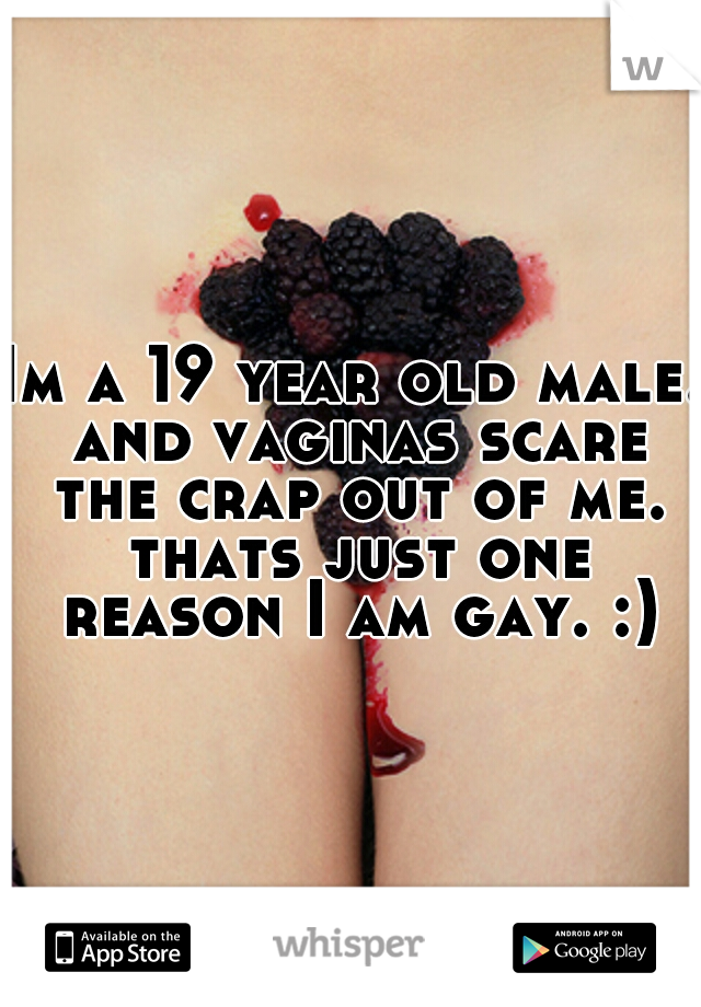 Im a 19 year old male. and vaginas scare the crap out of me. thats just one reason I am gay. :)