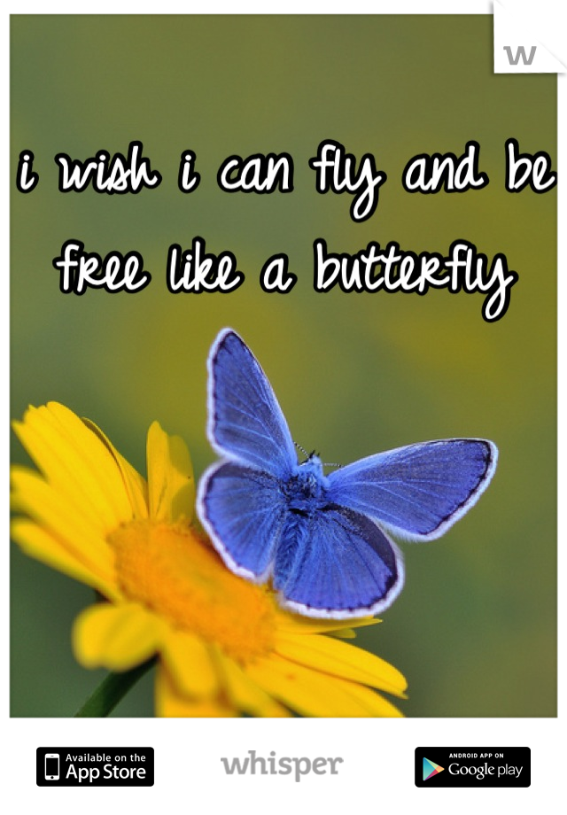 i wish i can fly and be free like a butterfly