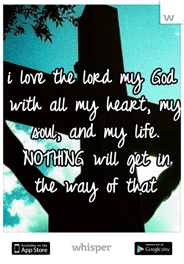 i love the lord my God with all my heart, my soul, and my life. NOTHING will get in the way of that