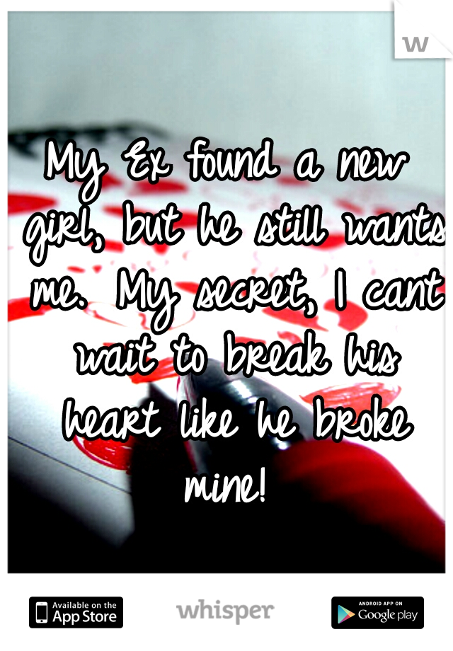 My Ex found a new girl, but he still wants me. 
My secret, I cant wait to break his heart like he broke mine! 