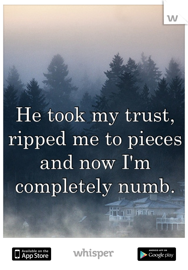 He took my trust, ripped me to pieces and now I'm completely numb.